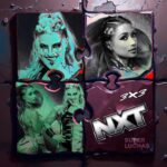 3x3-WWE-NXT-20-de-mayo-2025.jpg
